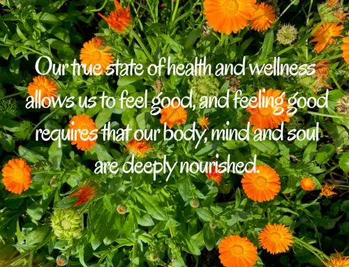 The Deep Nourishment of Seasonal Broths, Tonics and Elixirs