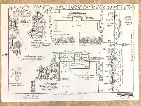 garden drawing